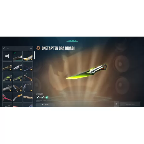  Valorant Şampiyon Setli - Premium  Koleksiyon